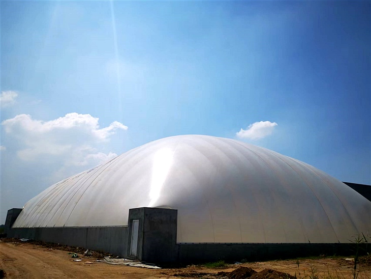 ������Ĥ