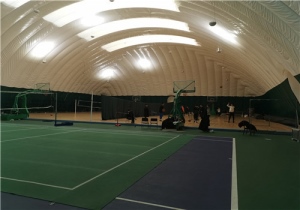 ��̩��Ĥ�����