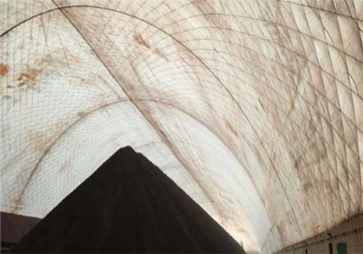 ������Ĥ