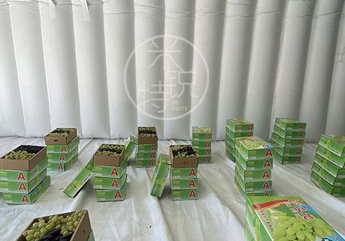 QQͼƬ20230925095808