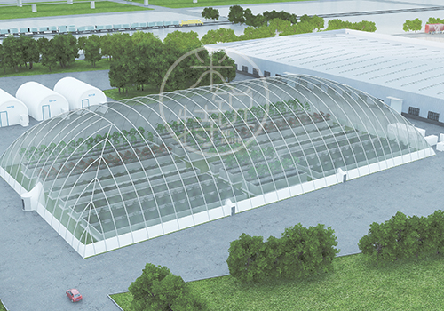 ��Ĥ����_ҳ��_2