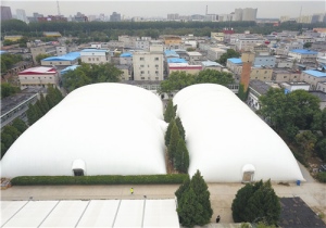 ��Ĥ�˶���