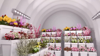 ��Ĥ�����Խṹ��ĿƼ�����